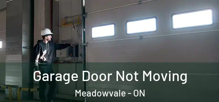  Garage Door Not Moving Meadowvale - ON
