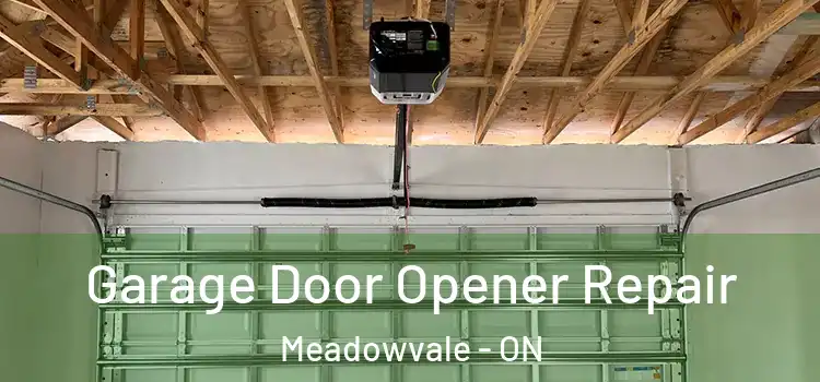  Garage Door Opener Repair Meadowvale - ON