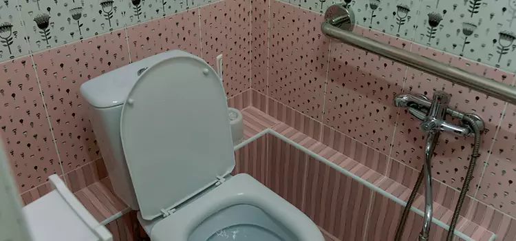 Meeting Diverse Needs With Accessible Restroom Solutions in Meadowvale, ON