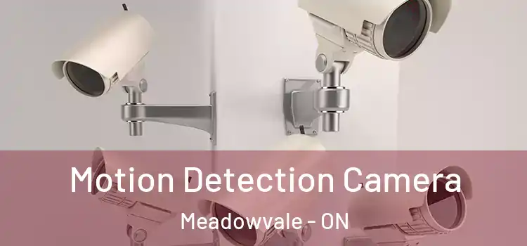  Motion Detection Camera Meadowvale - ON