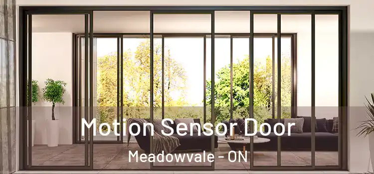 Motion Sensor Door Meadowvale - ON