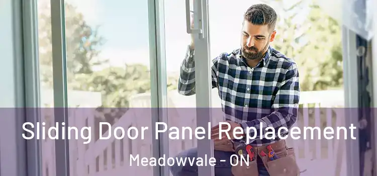  Sliding Door Panel Replacement Meadowvale - ON